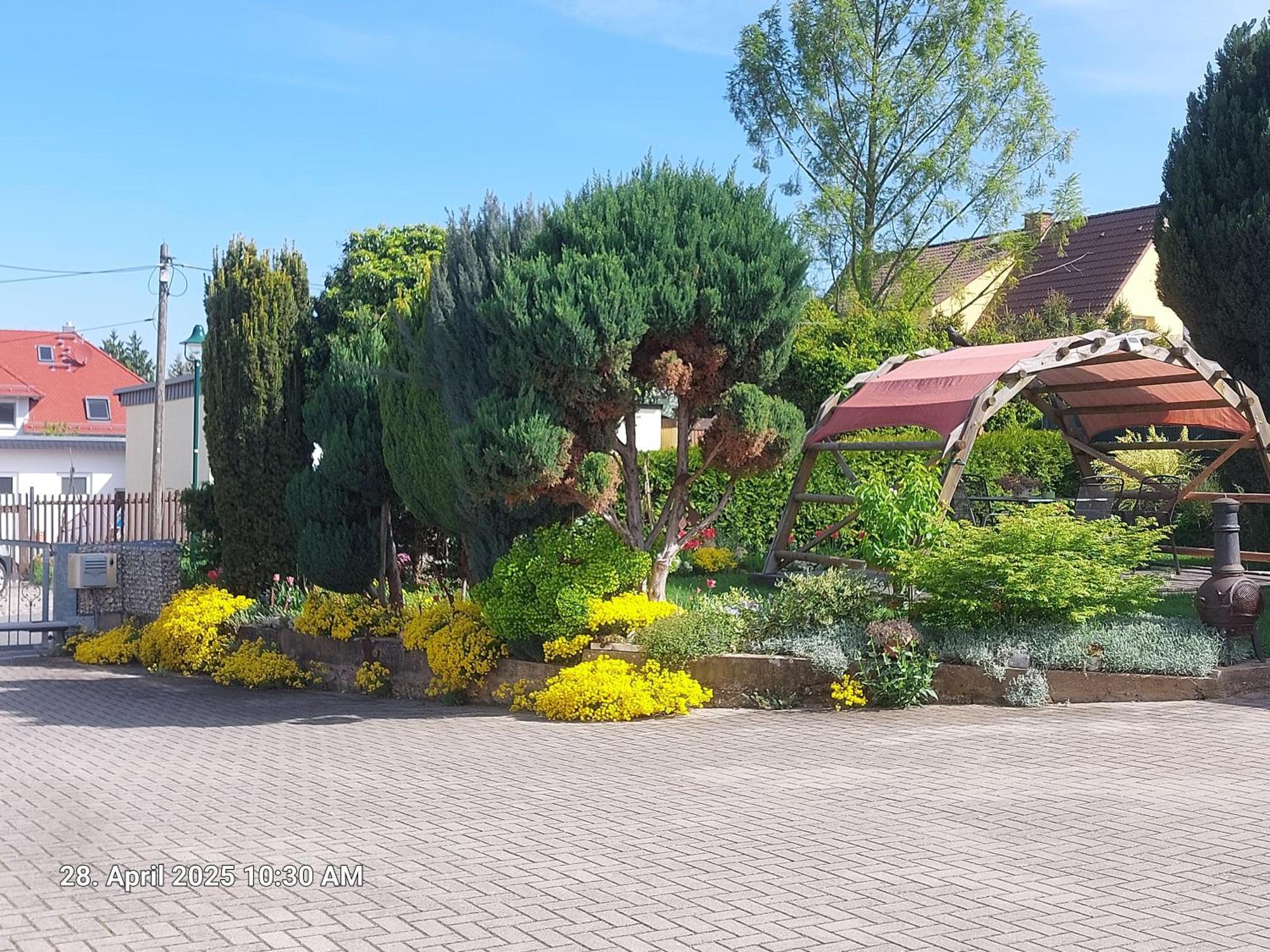 Ferienwohnung Bienwald Mit Pool Fuer 4 - 6 Personen Mit 3 Schlafzimmern Gröbitz エクステリア 写真